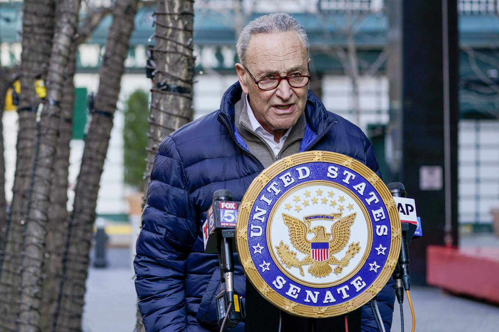 Fate of Biden agenda rests with Schumer in 50-50 Senate