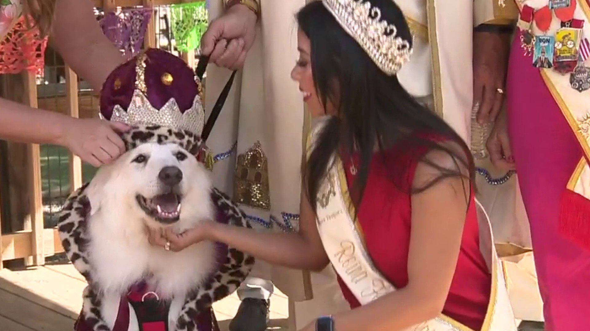 El Rey Fido, royal court crowned at San Antonio Human Society’s Fiesta 2023 event