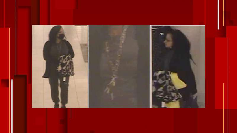 Have you seen this person? SAPD searching for woman who robbed Nordstrom at La Cantera