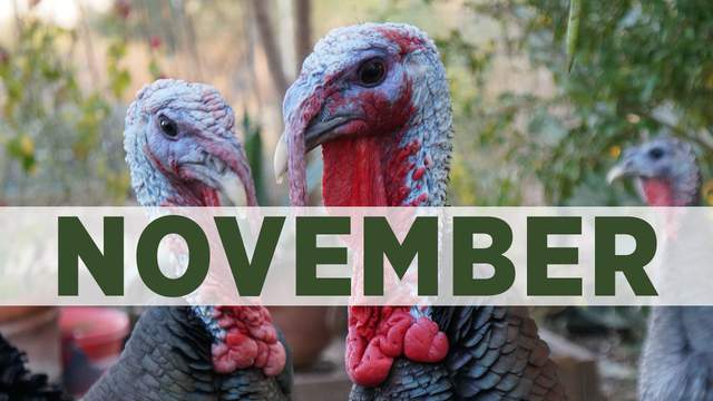 No description available