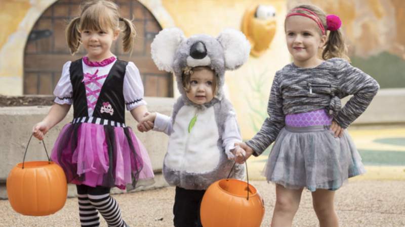 Treats by day, frights by night: These fall festivities aim to please