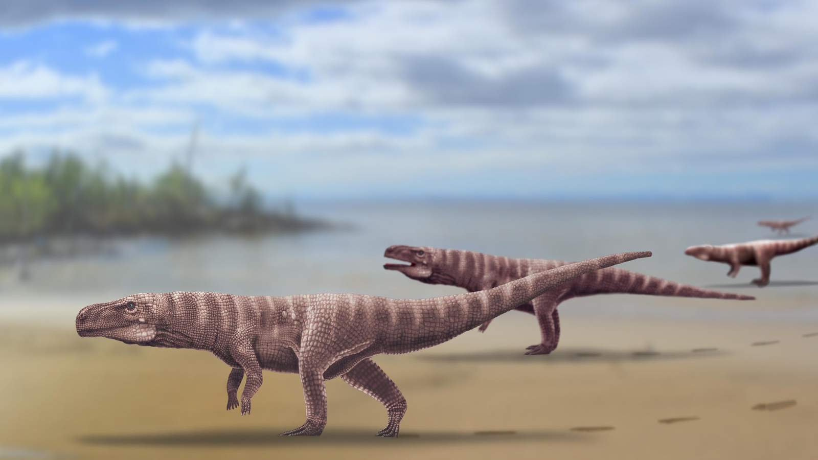 Enigmatic footprints reveal prehistoric crocodile that walked on two legs