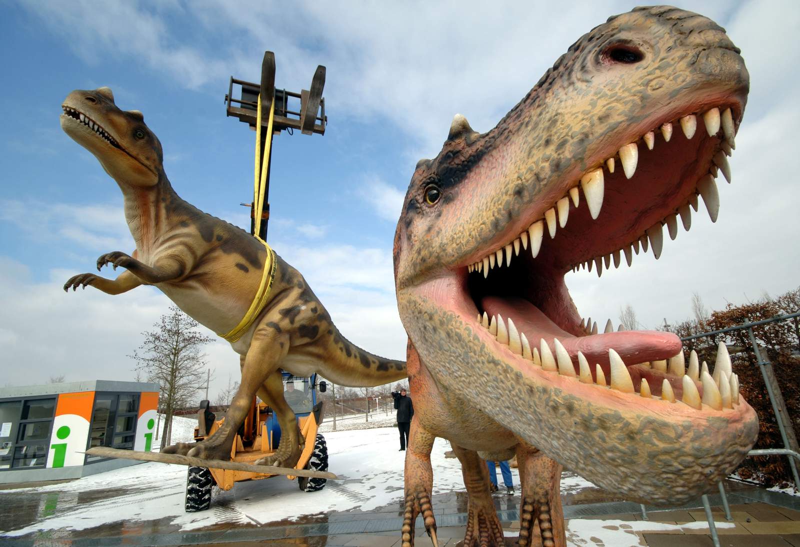 Study: 2.5 billion T. rex roamed Earth, but not all at once