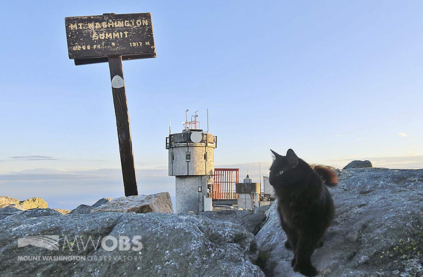 Cat at Northeast's highest peak dies after 12 years on duty