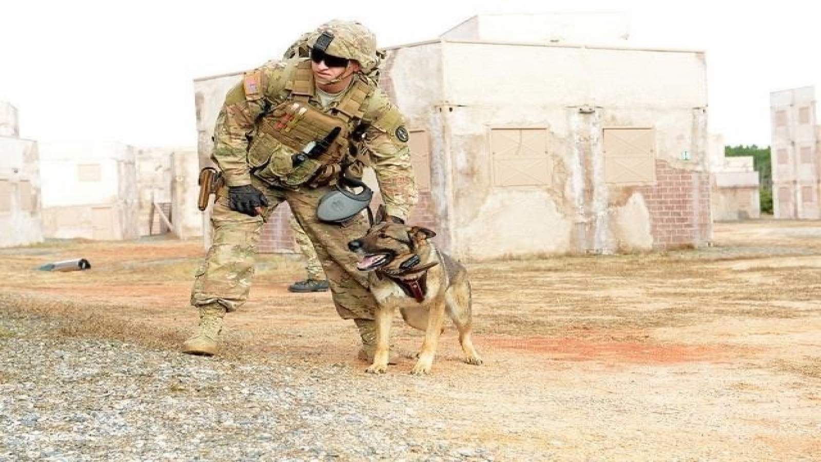 Army sergeant reunites with dog he served with in Iraq after spending two years apart