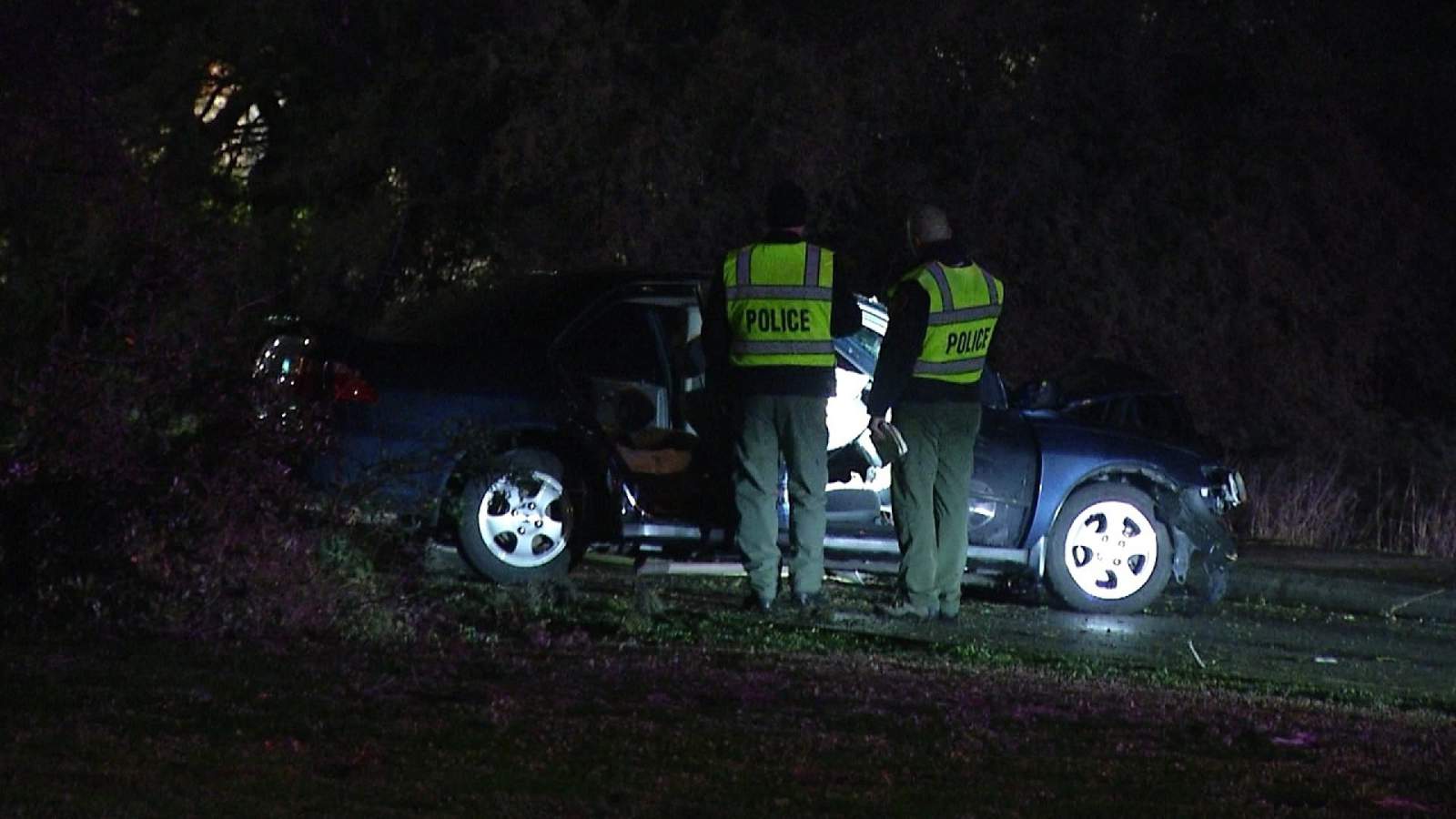 75-year-old woman killed in vehicle crash with tree, police say