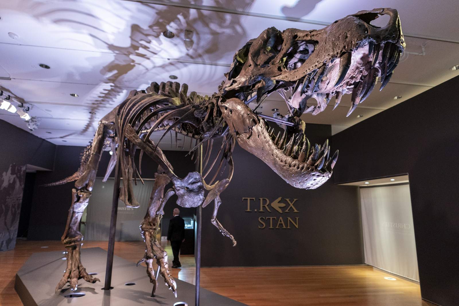 An auction house with good bones: Stan the T rex is for sale