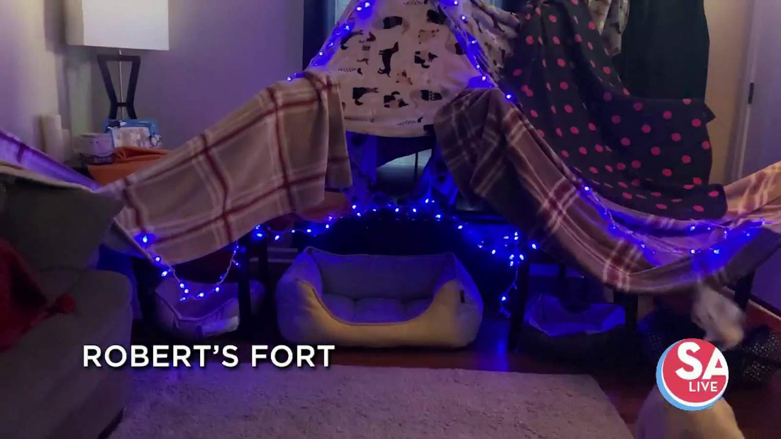 Work from home in your blanket fort! l SA Live l KSAT 12
