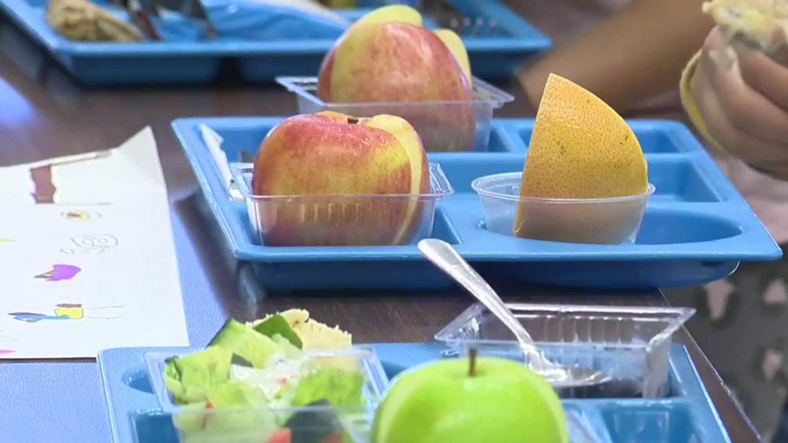 USDA proposes changes to school lunch program requirements