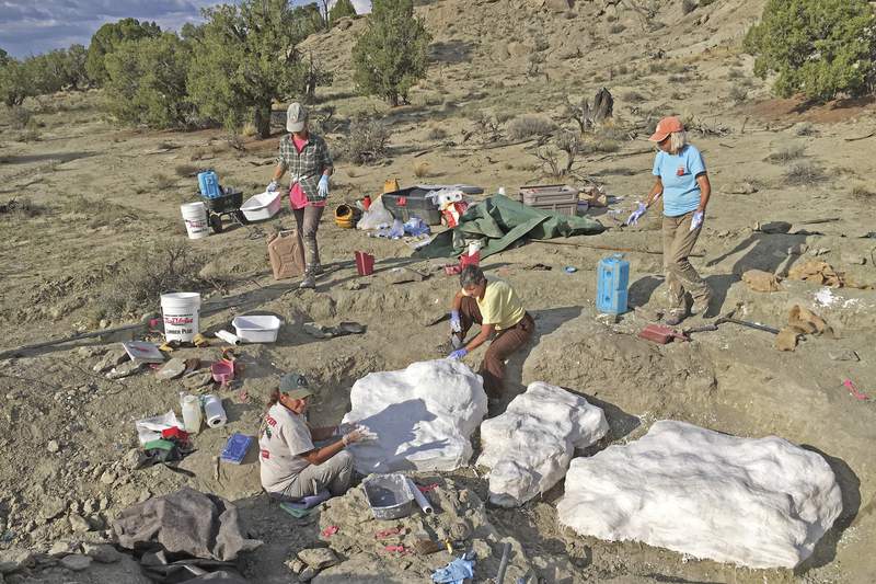 Mass fossil site may prove tyrannosaurs lived in packs