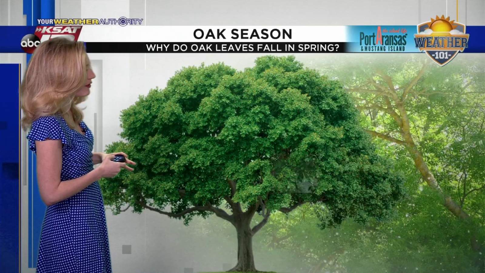 Sarah explains oak allergy