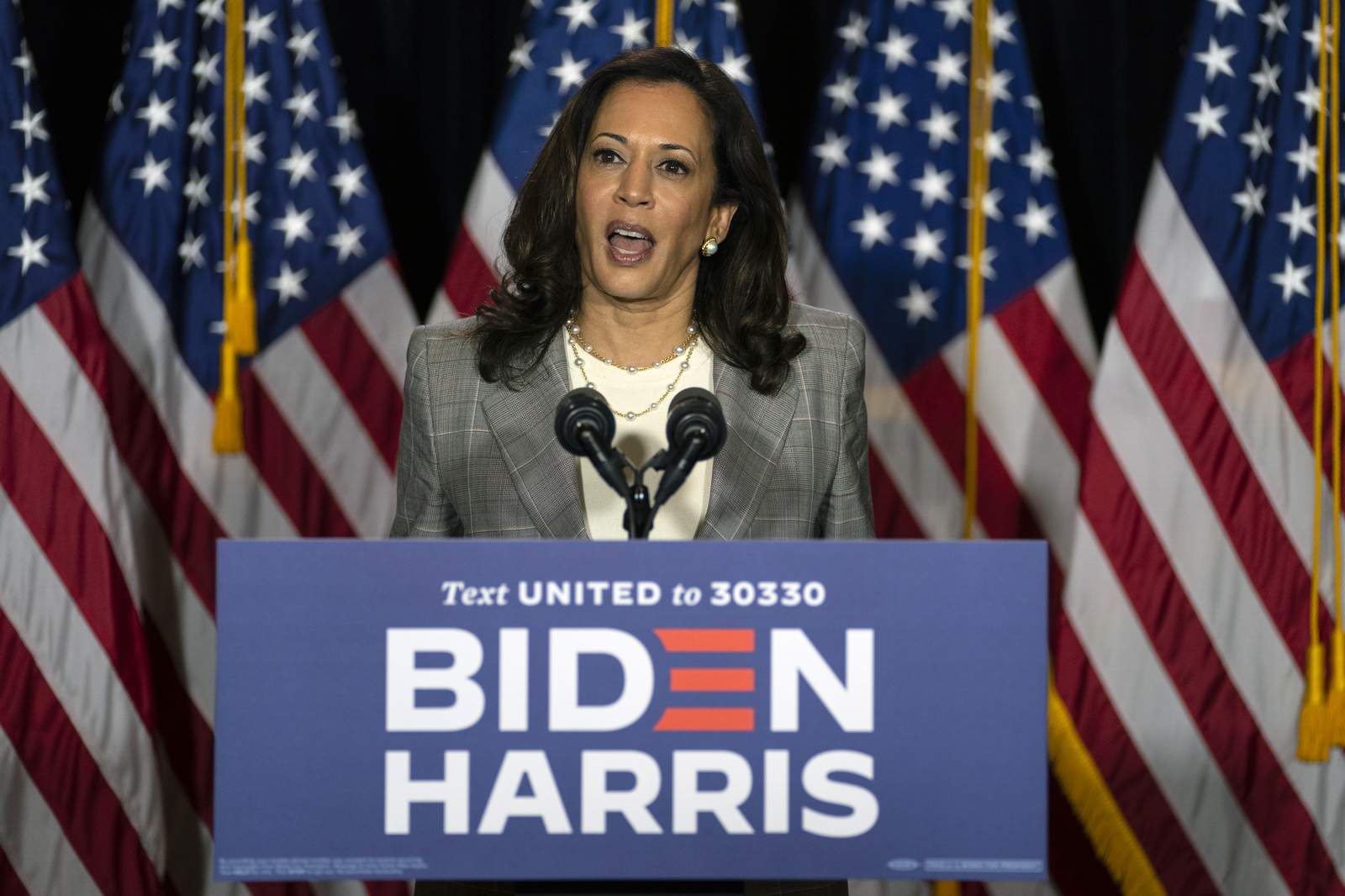 Harris bringing energy, dollars and more to Biden's campaign