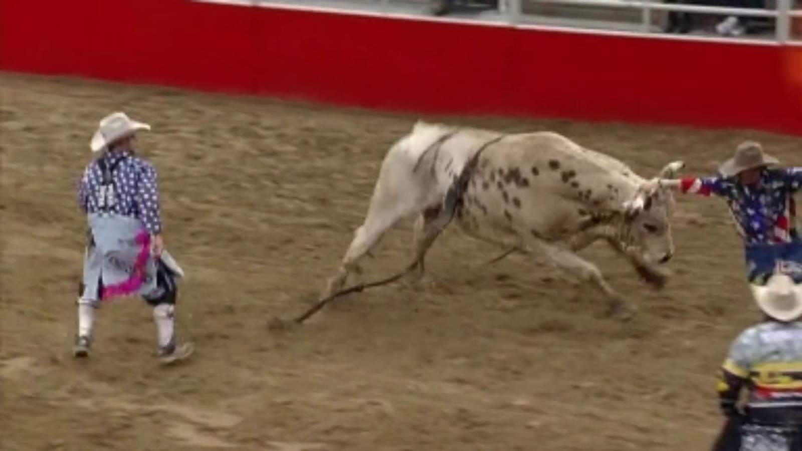 Watch the San Antonio Rodeo from home