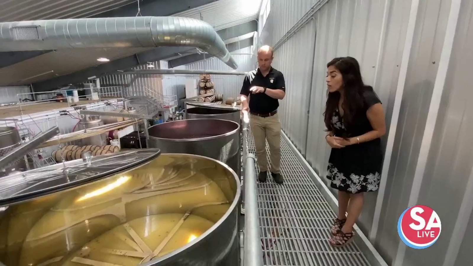 The art + science of wine-making at Augusta Vin Estate Winery
