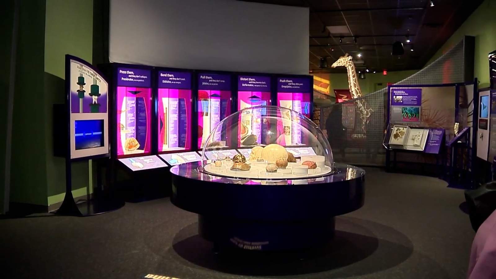 Witte Museum unveils first traveling exhibit of 2021 ‘The Machine Inside: Biomechanics’