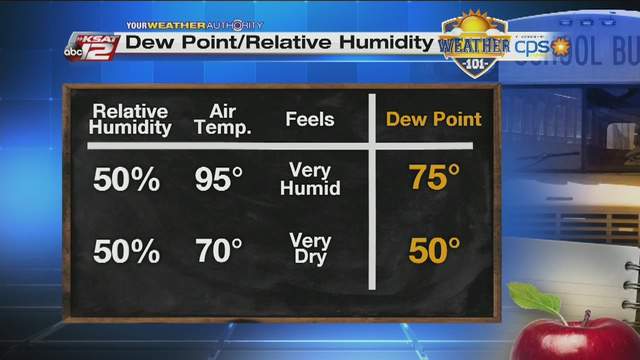 Weather 101: Dew Point vs Relative Humidity