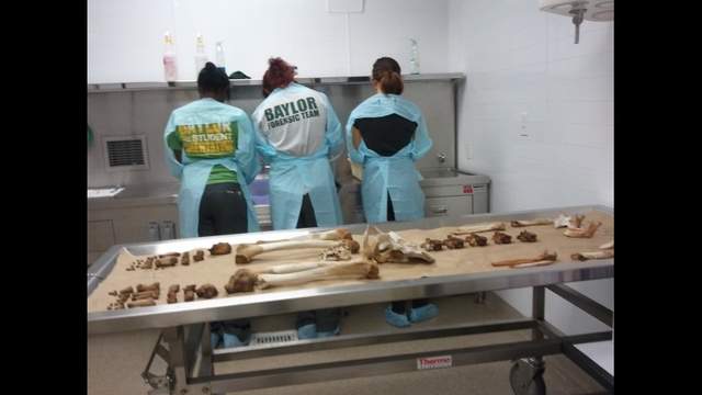 Forensic experts, students work to identify immigrant remains