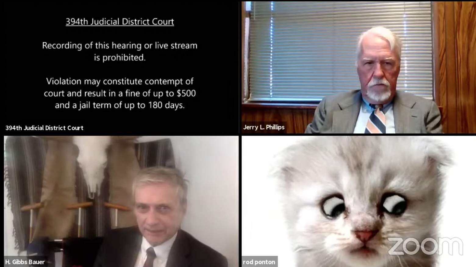 ‘I’m not a cat,’ lawyer tells judge during Zoom call cat-filter faux ‘paw’