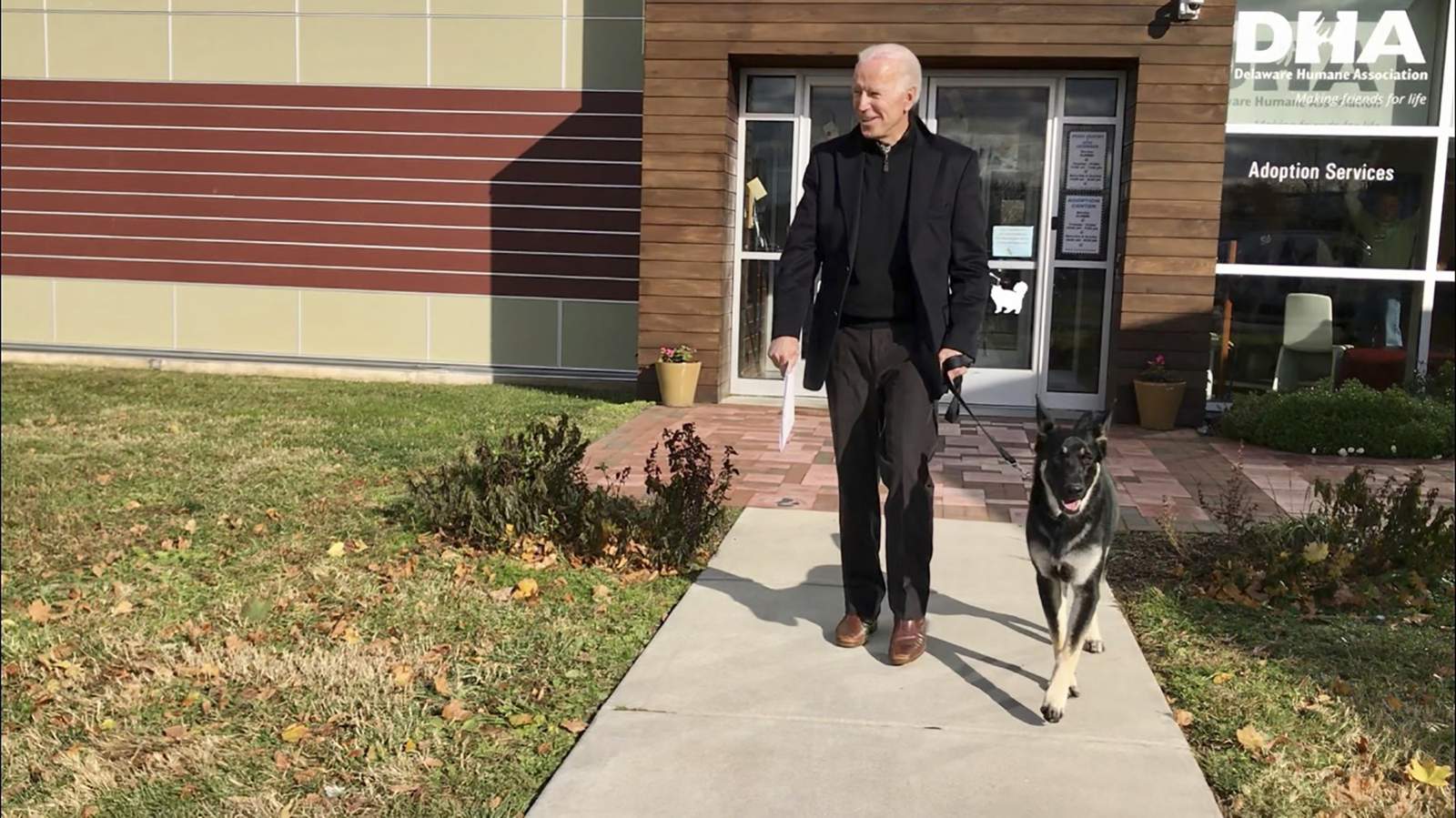 Biden dog Major in doghouse after injuring security agent