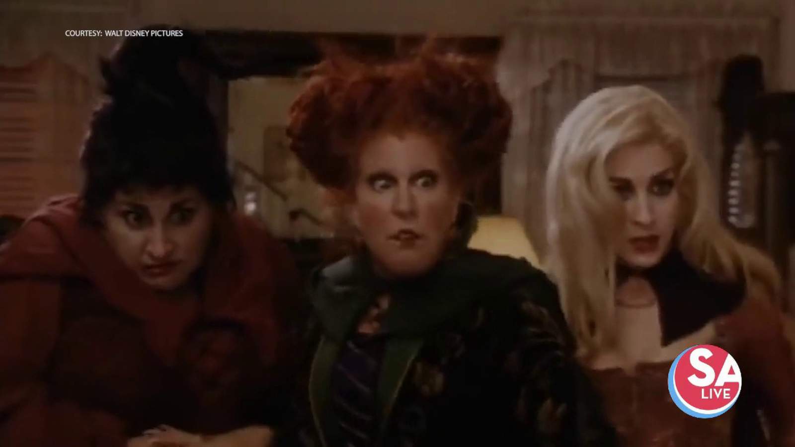Celebrity Chat: behind-the-scenes stories from ‘Hocus Pocus’