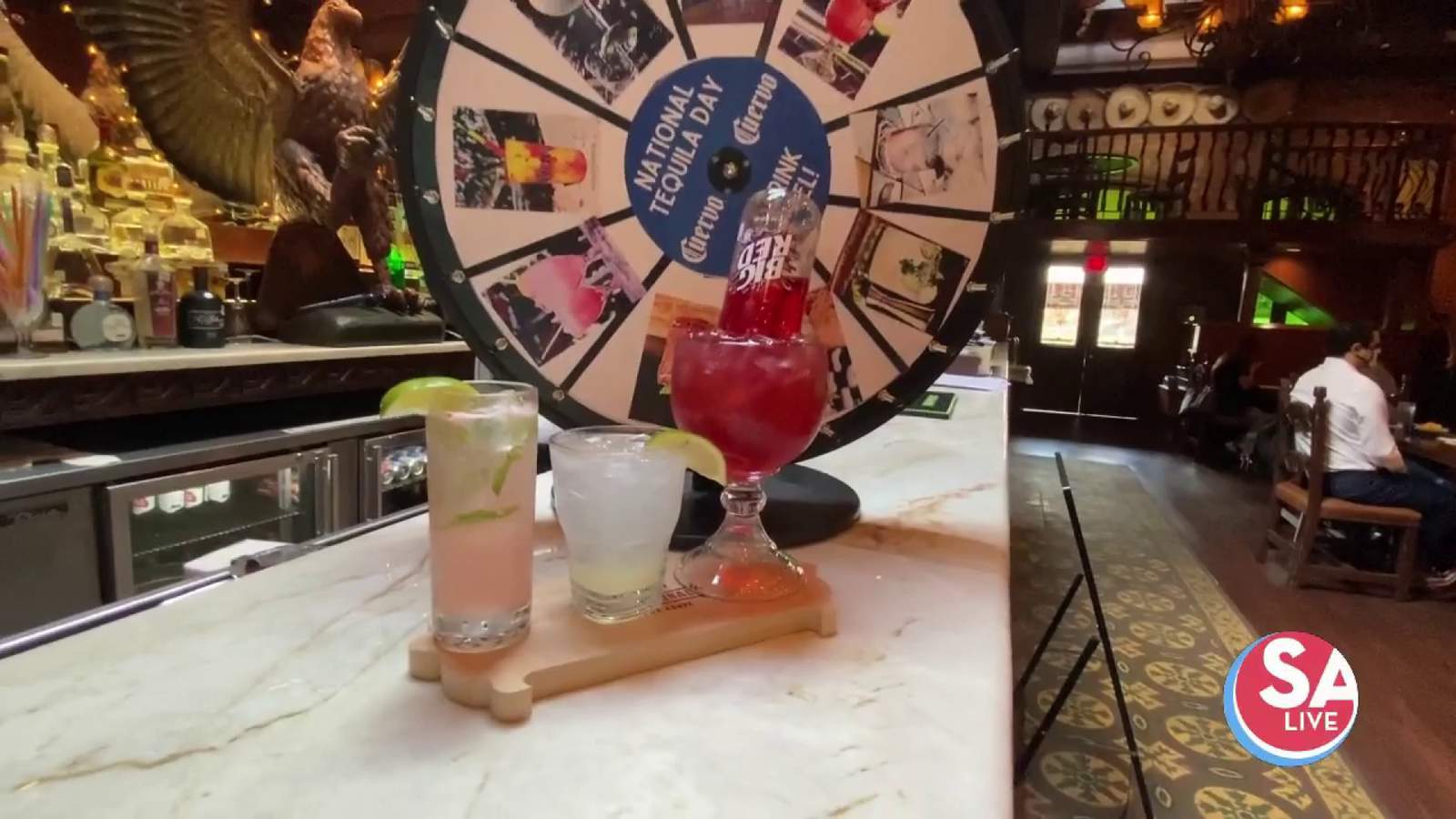 Spin the Wheel of Margaritas