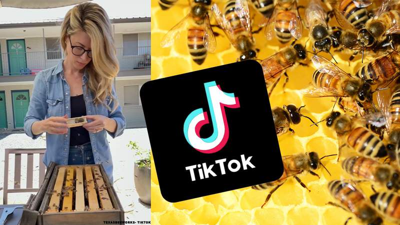 Austin beekeeper causes a national buzz on TikTok