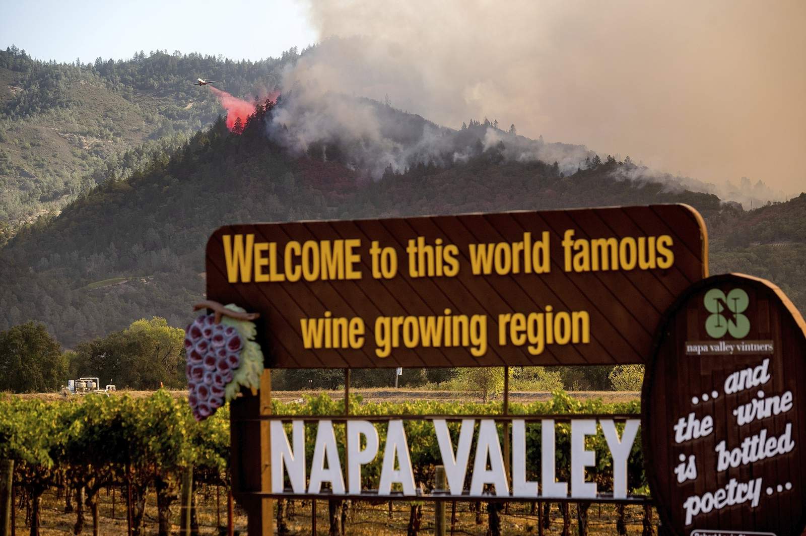 California wine country adapting to annual wildfire threat