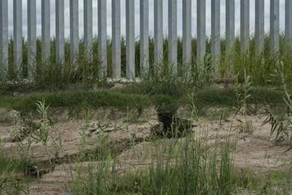 Eroding private border wall to get an engineering inspection just months after completion