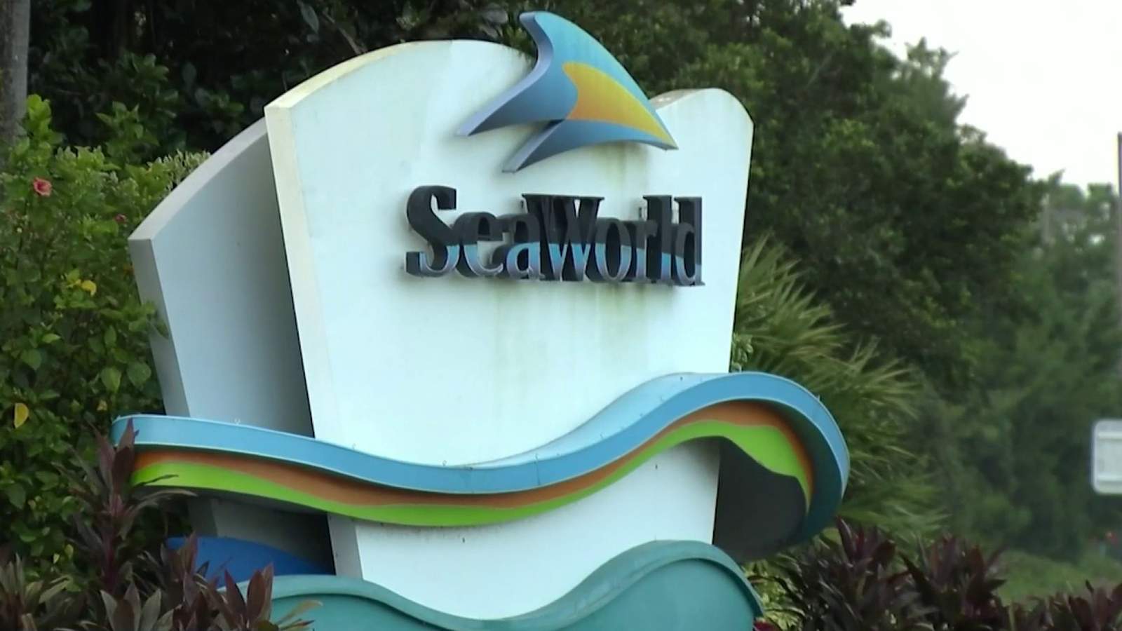 SeaWorld San Antonio lays off 242 employees
