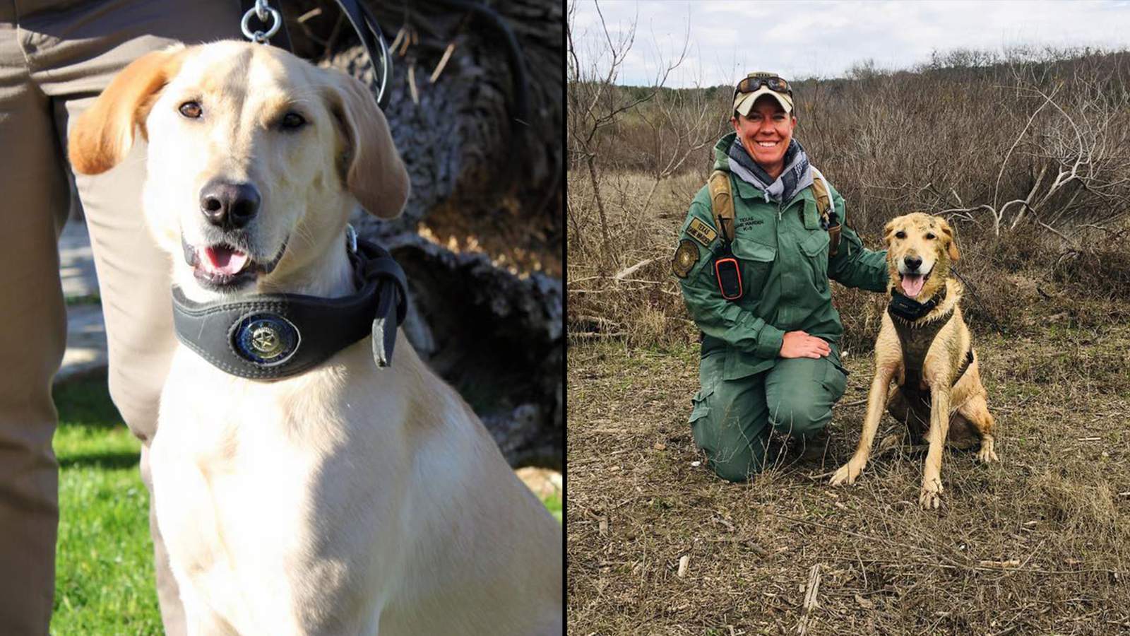 Texas Game Warden K9 retires from service after 7 years of service