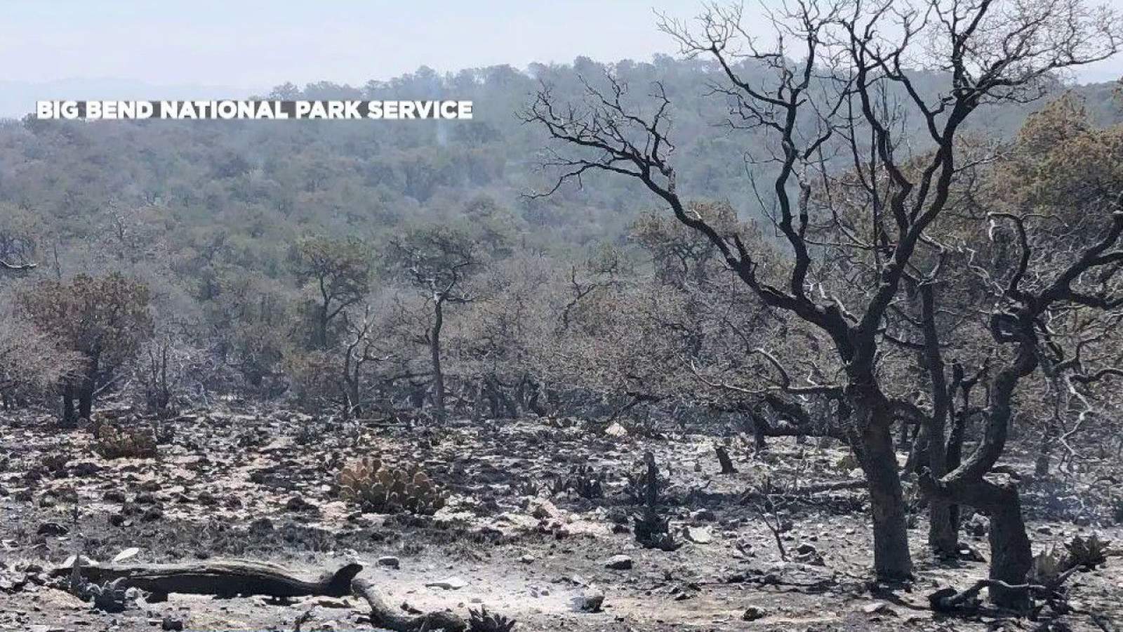Lower winds, humidity help crews fight Big Bend National Park fire
