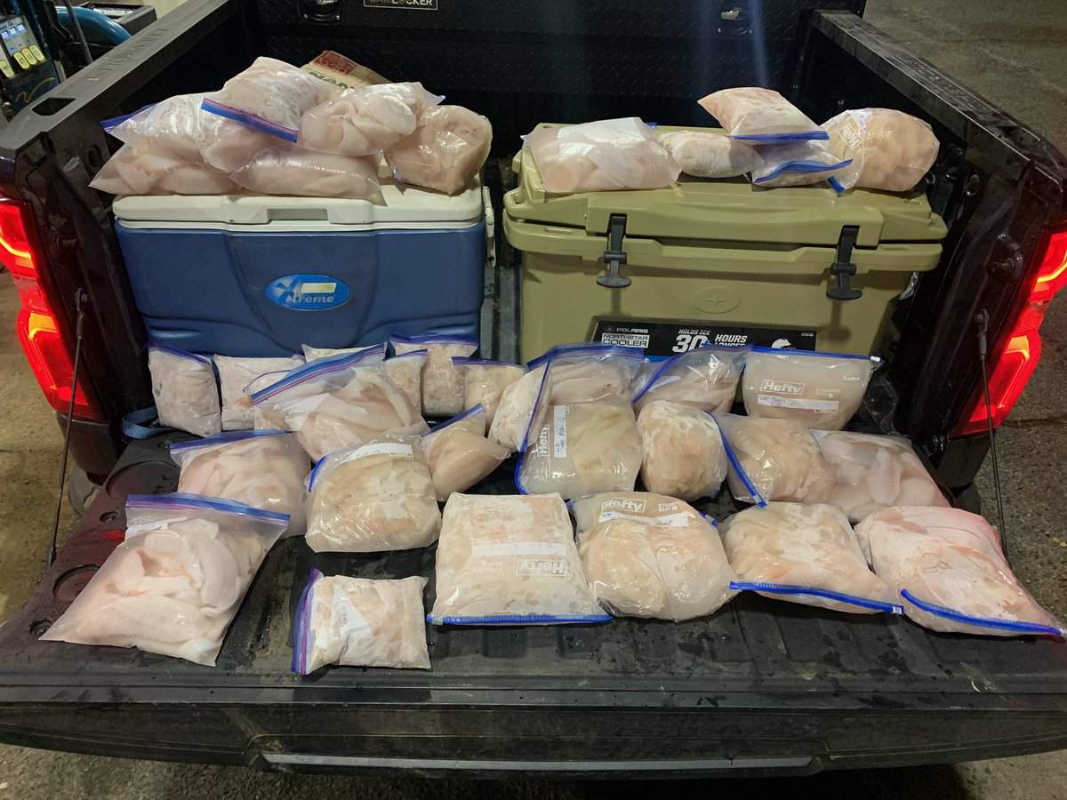 Texas Game Wardens seize 350 crappie fish fillets from fishermen at Lake O’ the Pines