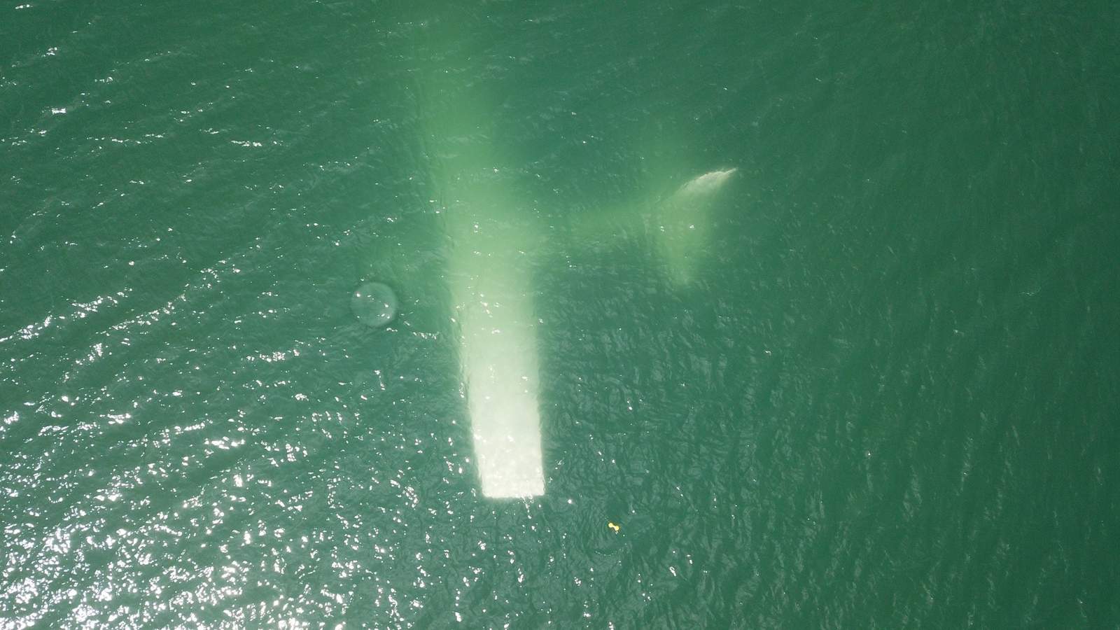 Passengers swim ashore after plane makes emergency landing in Canyon Lake