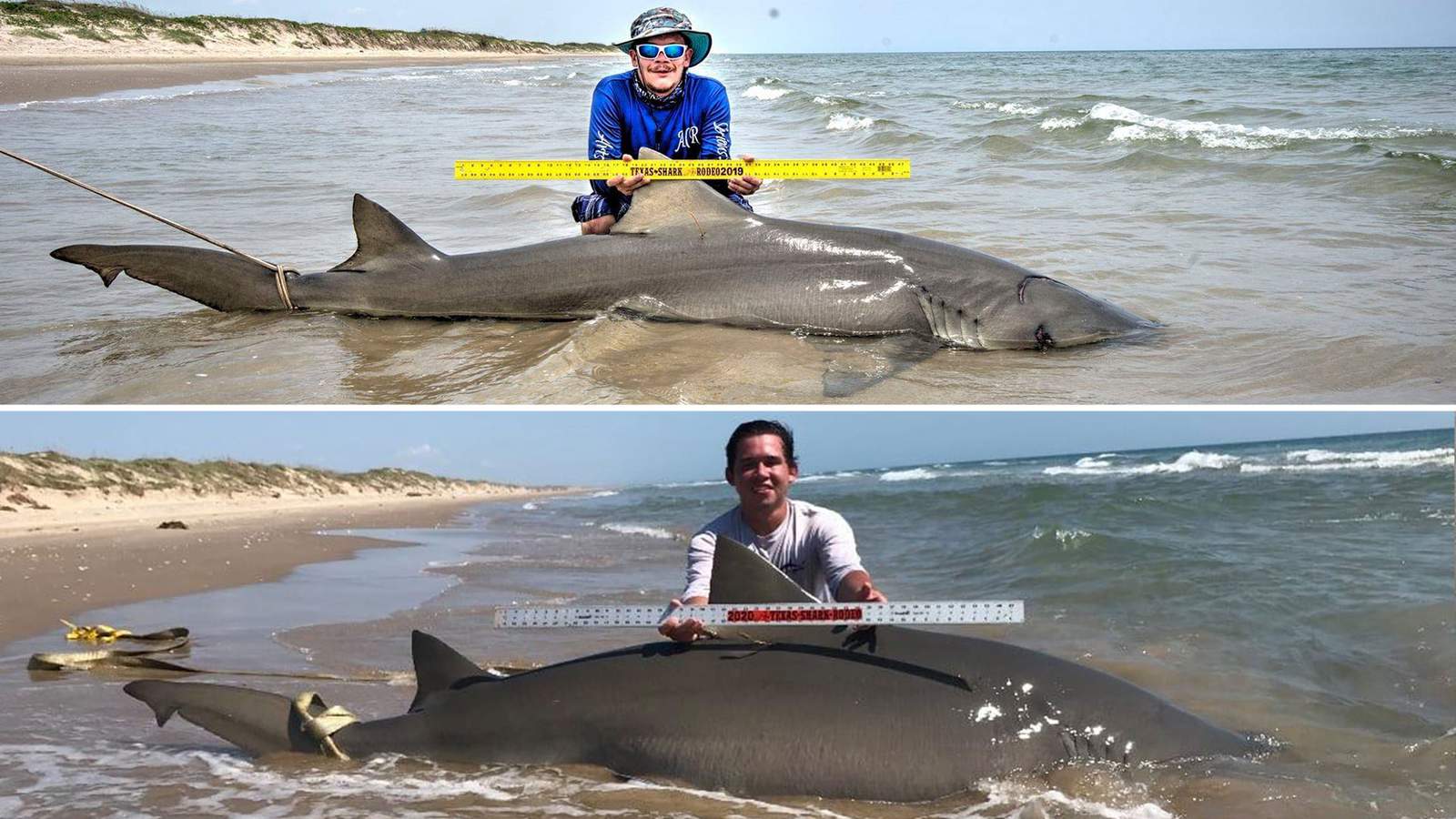 Two Texas anglers catch same 10+ foot lemon shark on Padre Island National Seashore 1 year apart