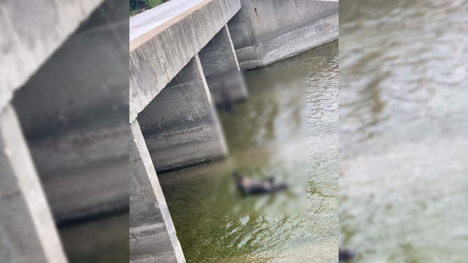Animal carcasses hung from bridge at Uvalde County swimming hole under investigation