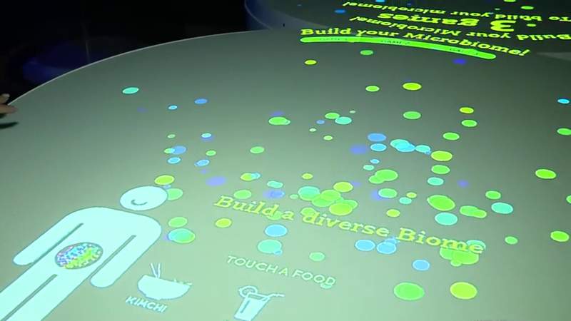What bacteria and viruses live inside us? Witte Museum debuts exhibit on human microbiome