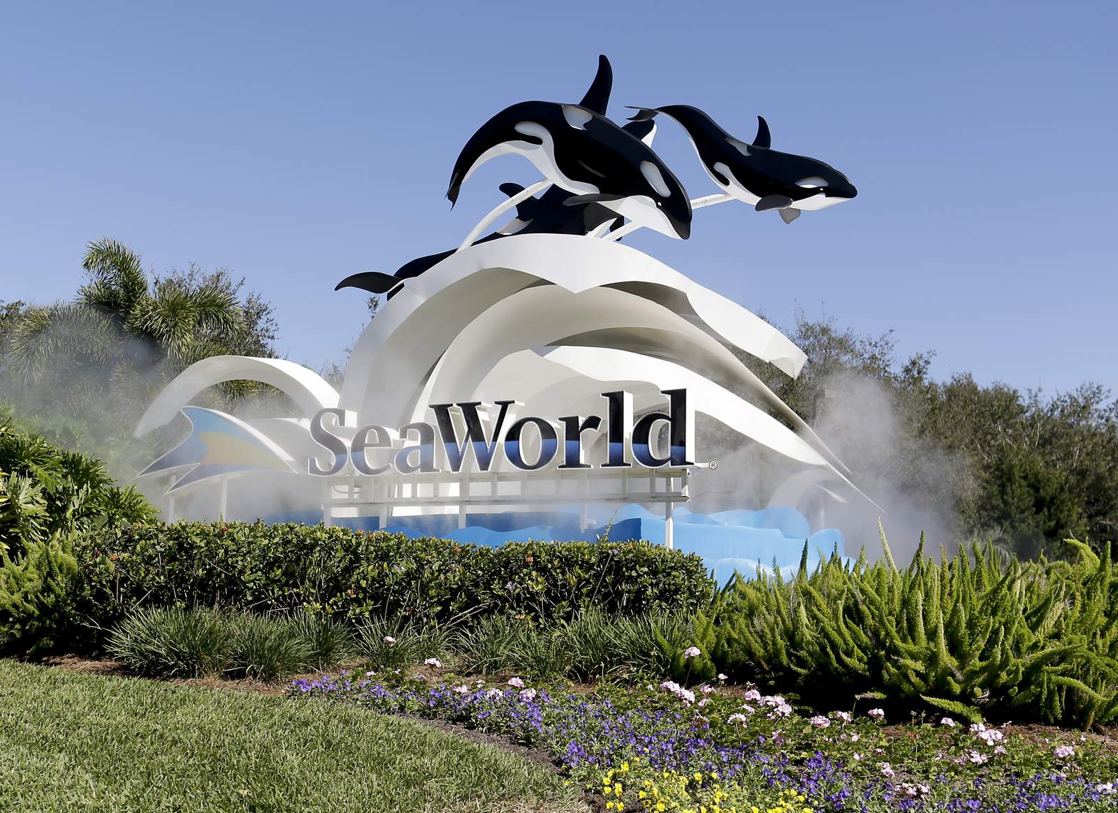 SeaWorld CEO resigns five months into job, cites board