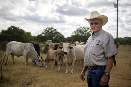 Texas ranchers, activists and local officials are bracing for megadroughts brought by climate change