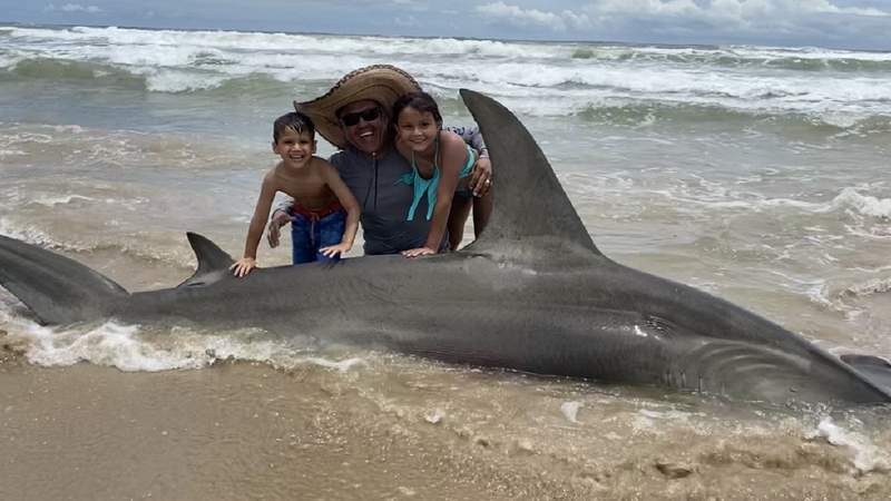 San Antonio man reels in 12-foot hammerhead shark along Padre Island National Seashore