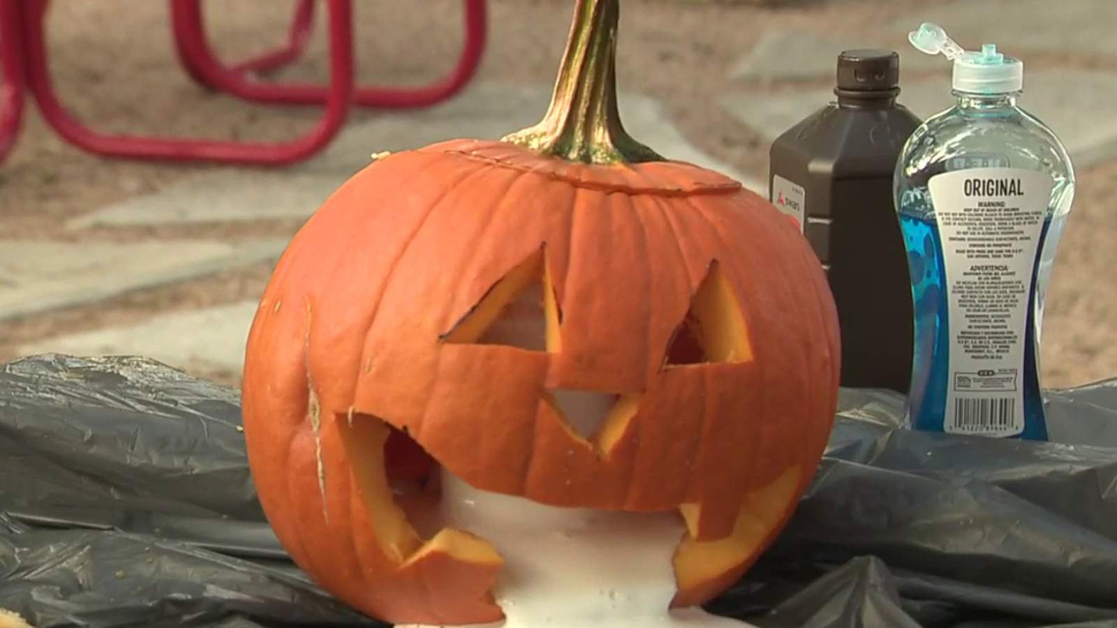 KSAT Kids Home Science: How to make oozing pumpkins