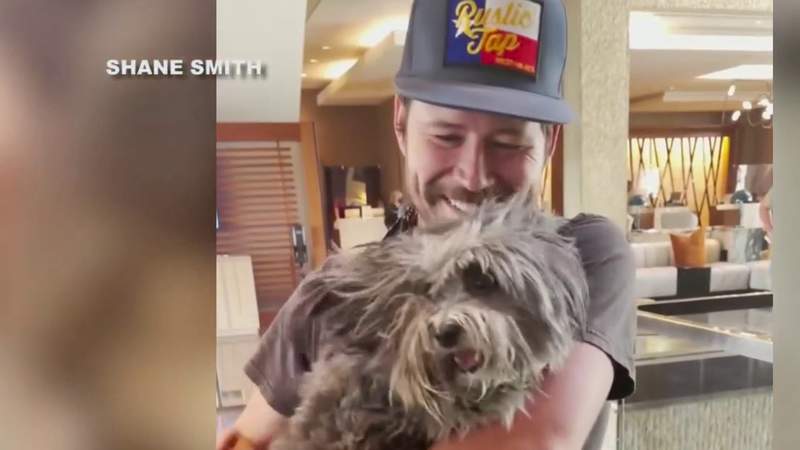 Texas country singer reunited with emotional support dog stolen with truck outside Hotel Emma