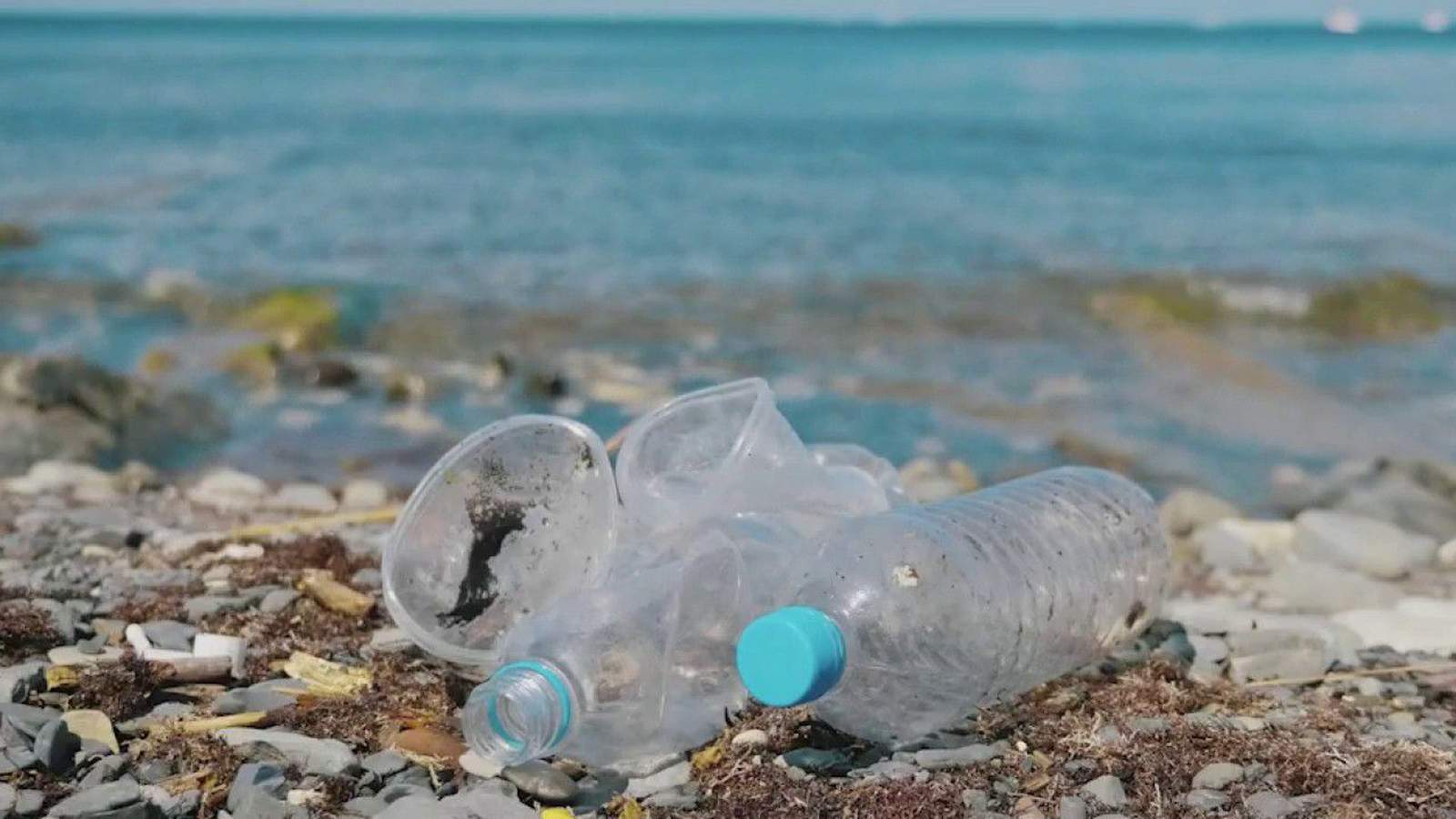 Here’s how to use less plastic in your daily life