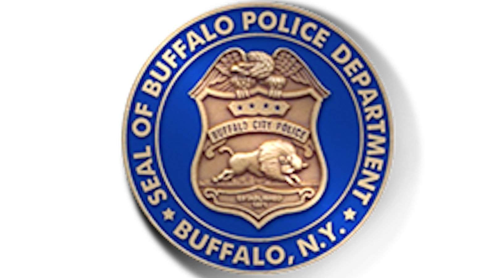 Buffalo police officers plead not guilty to assaulting 75-year-old man at demonstration