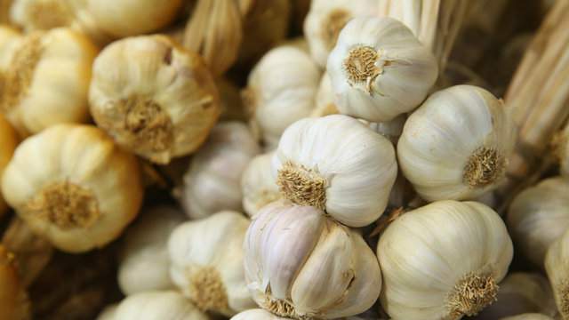 Impress your friends: 5 strange facts about garlic