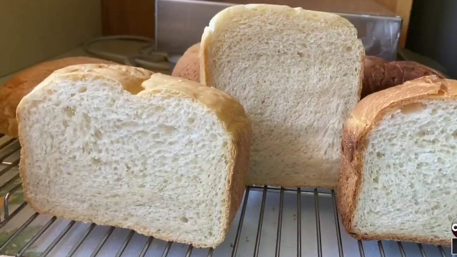 Looking for a new bread maker for the holidays? Check out these Consumer Reports picks