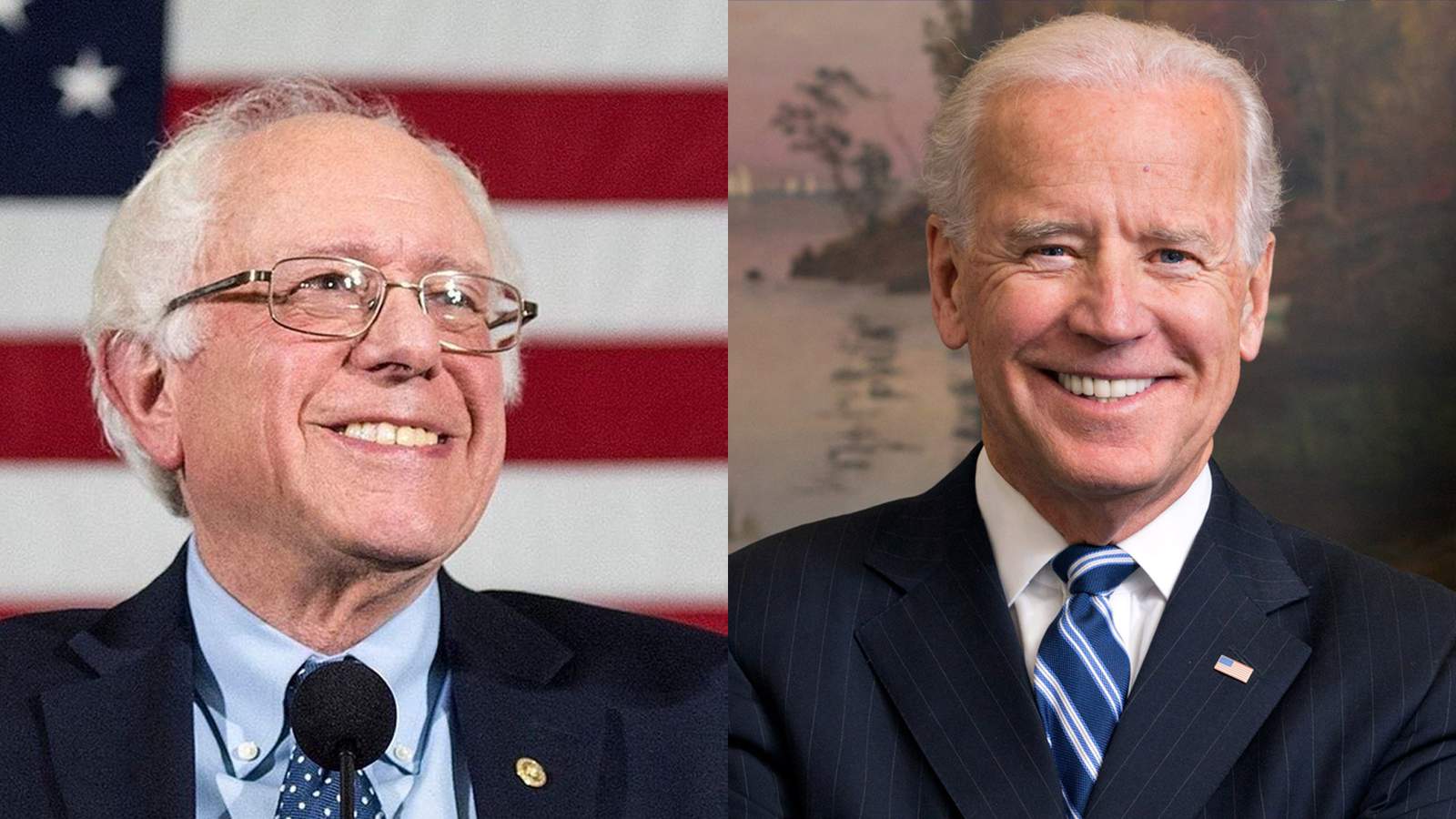 Bernie Sanders wins Bexar County, but Joe Biden takes Texas