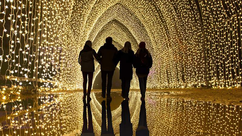 You can walk under a cathedral of lights in San Antonio this November