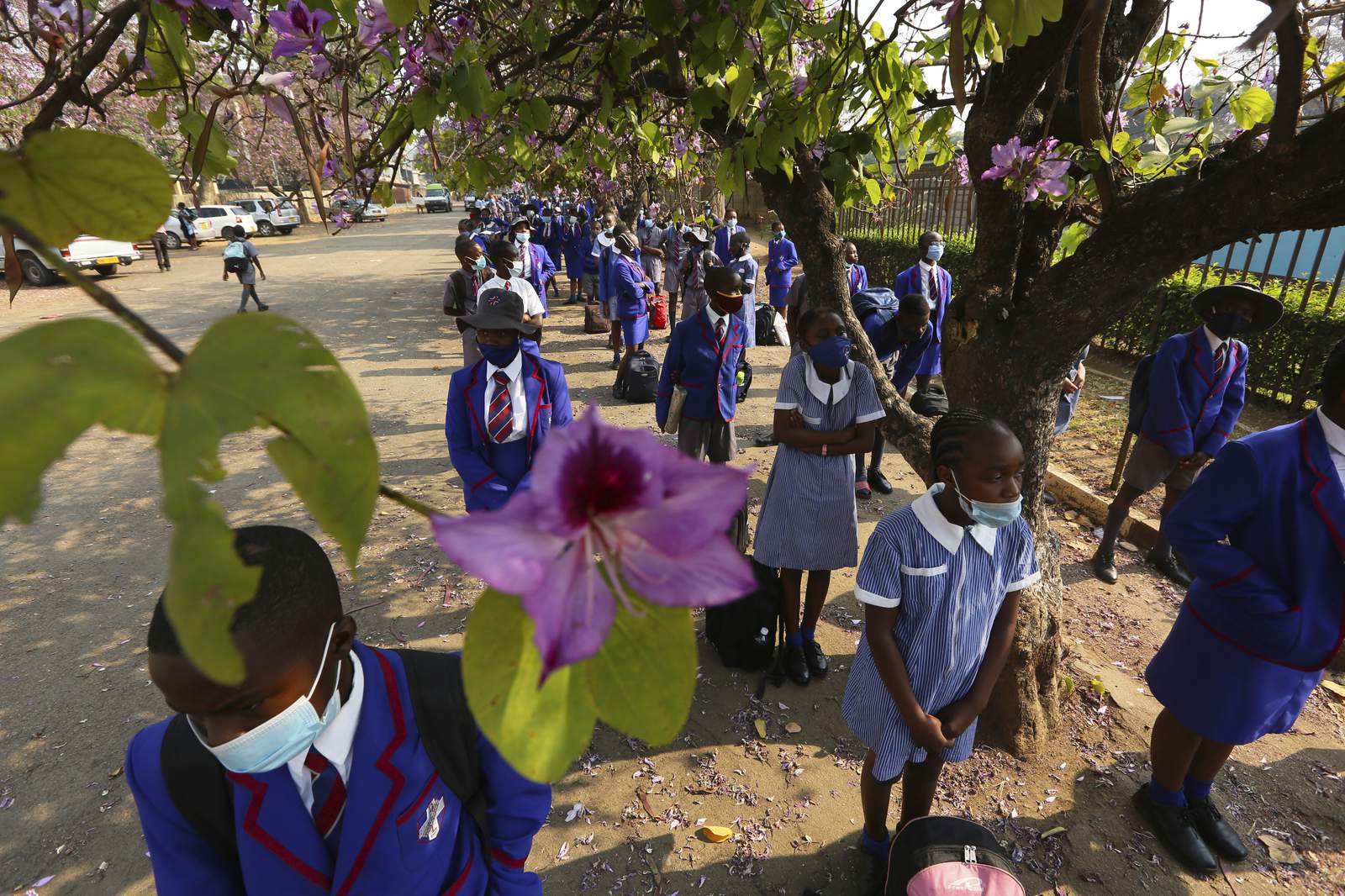 Zimbabwe begins gradual reopening of schools amid virus