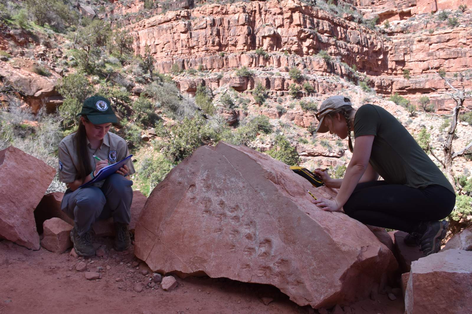 Rock fall at Grand Canyon reveals ancient animal footprints