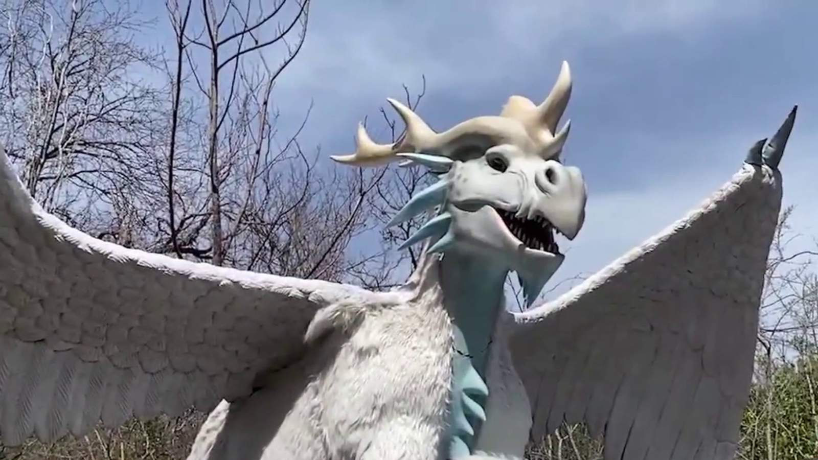 New Dragon Forest experience opens at San Antonio Zoo